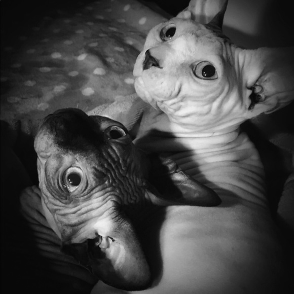 Hello! I’m Cindy😺✨ - Picture 2 of 4